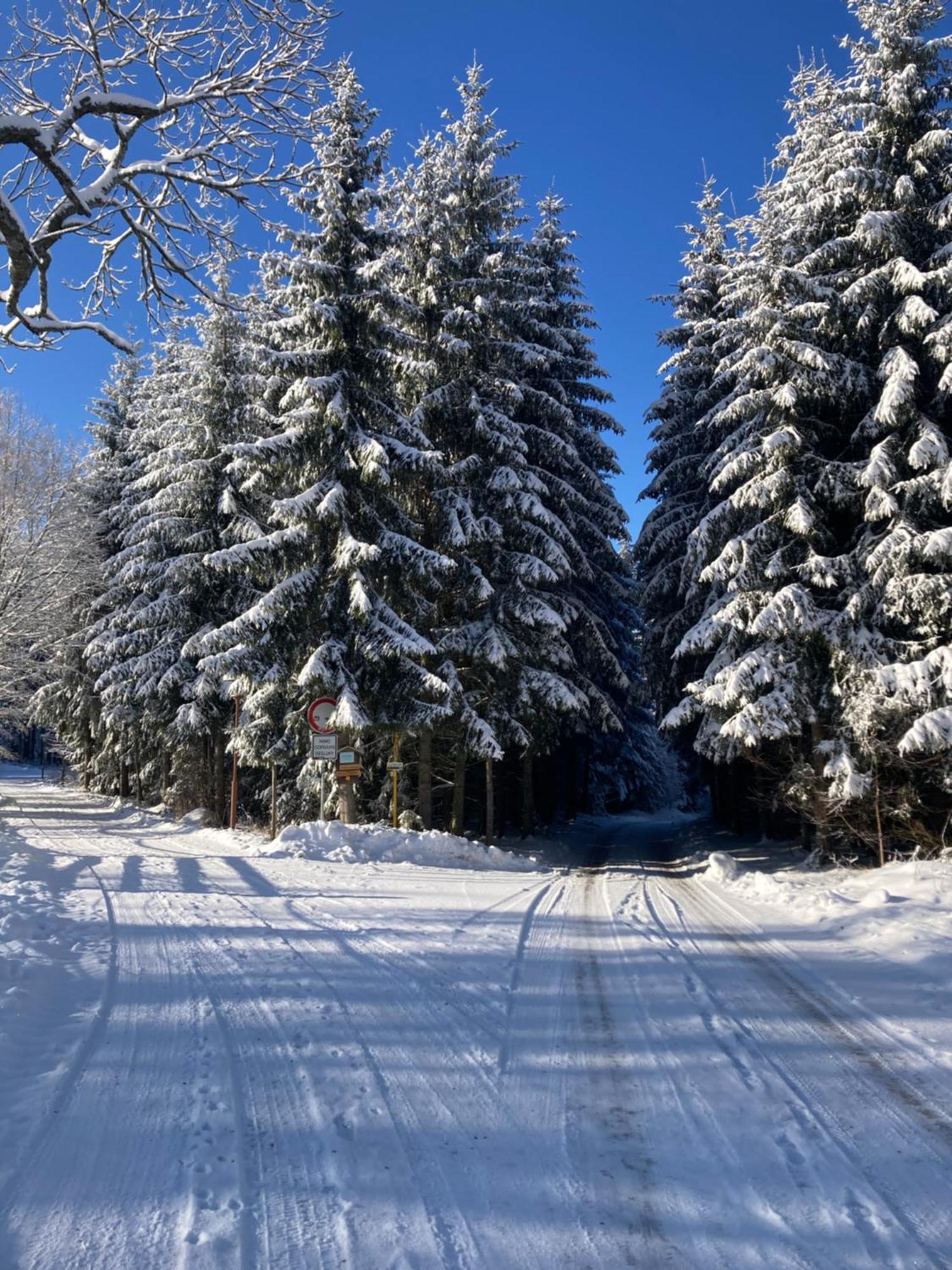 Penzion Na Habeši Kasperske Hory Esterno foto