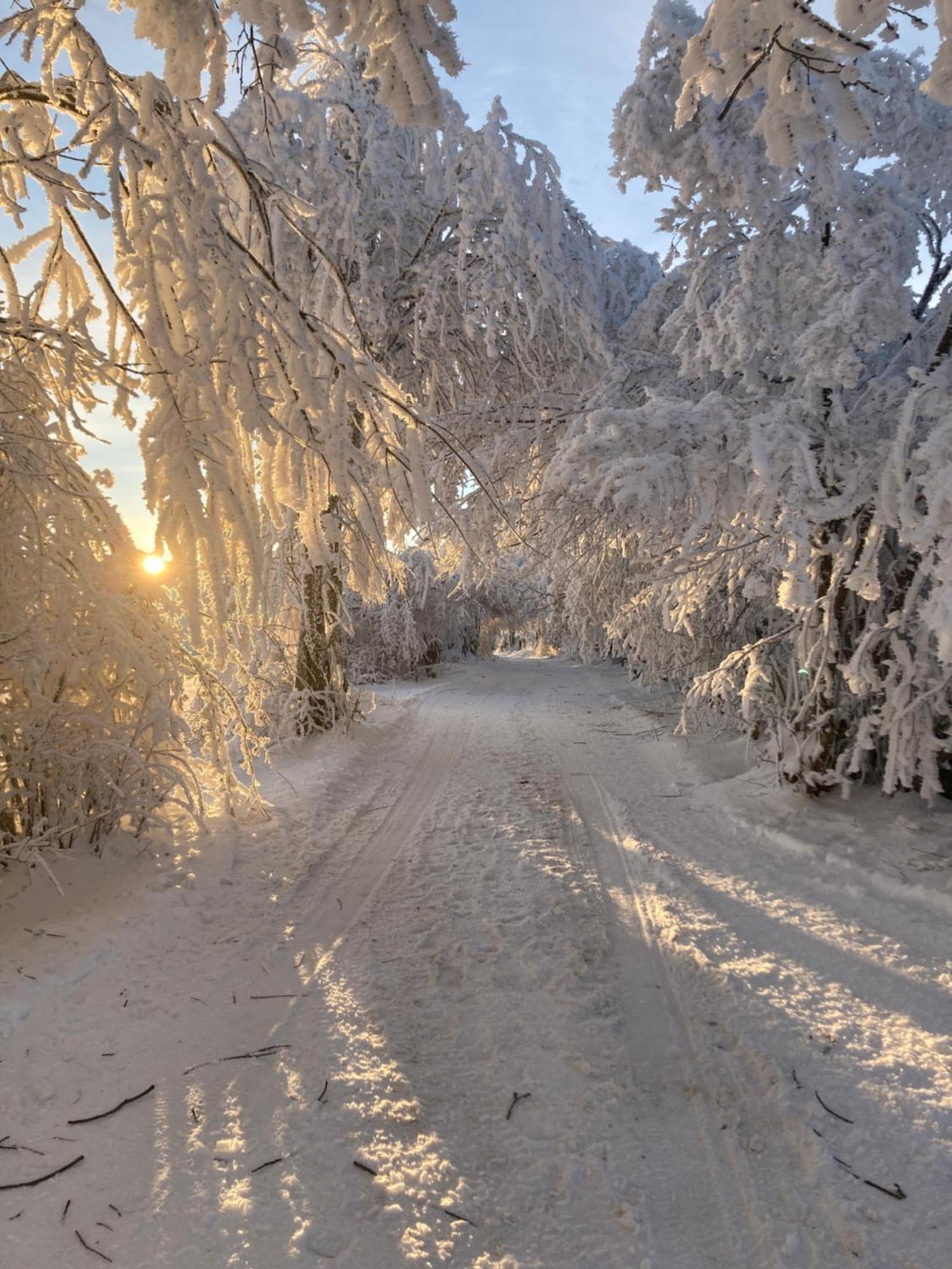 Penzion Na Habeši Kasperske Hory Esterno foto