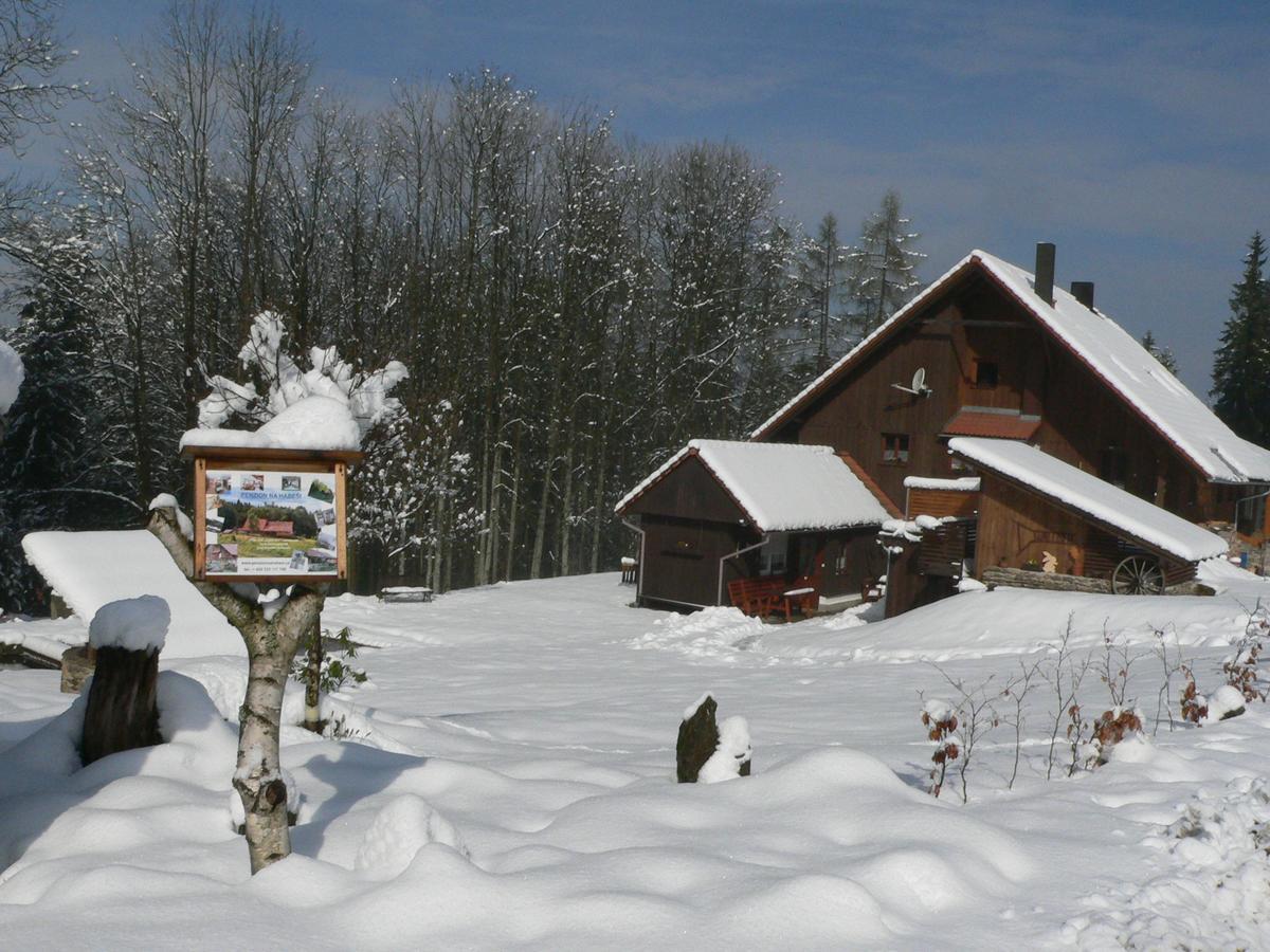 Penzion Na Habeši Kasperske Hory Esterno foto